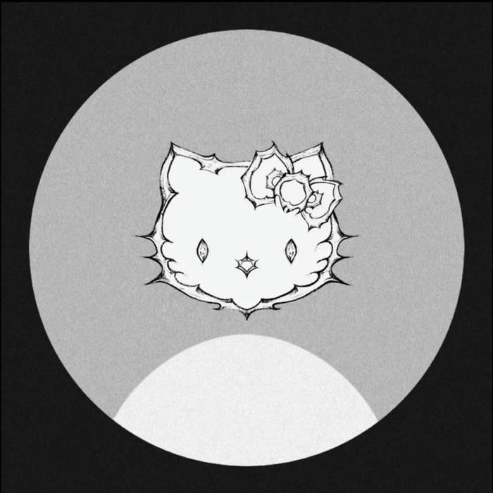 no dp basic avatar choice for hidden identity users