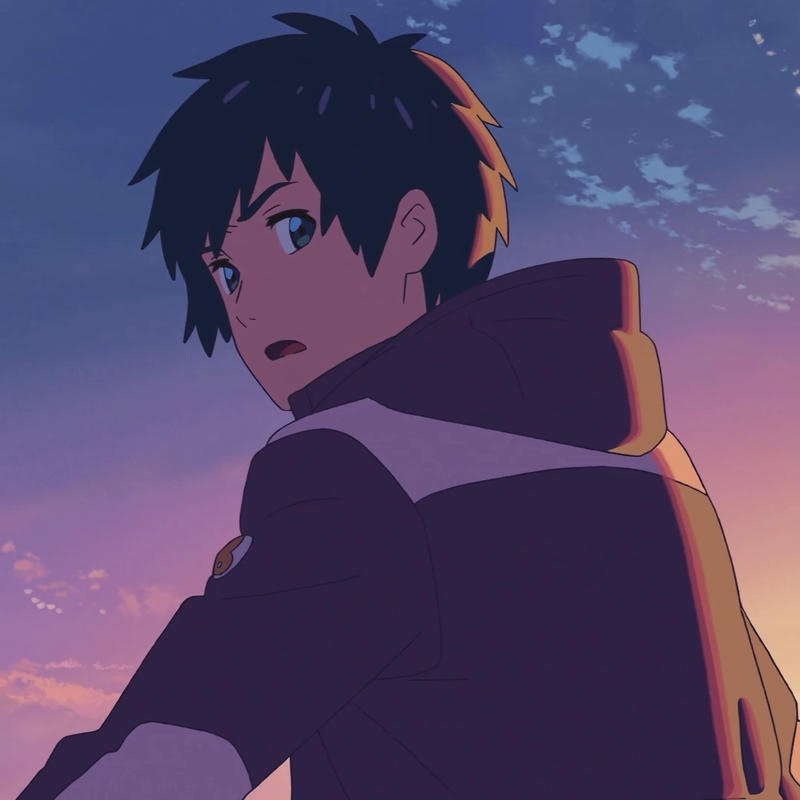your name anime dp illustration