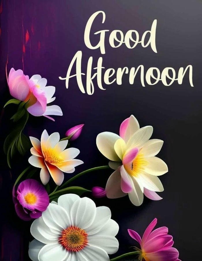 Beautiful afternoon flowers colorful bouquet black background floral view