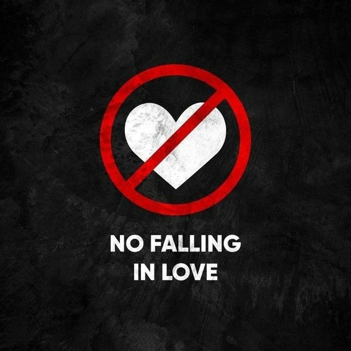 Funny anti love sign warning about falling in love