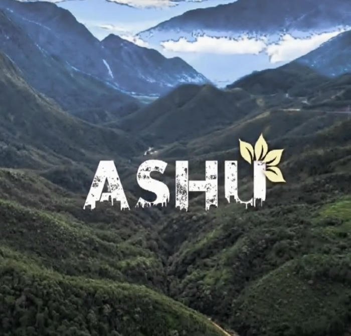 Golden eclipses follow Ashu name dp light