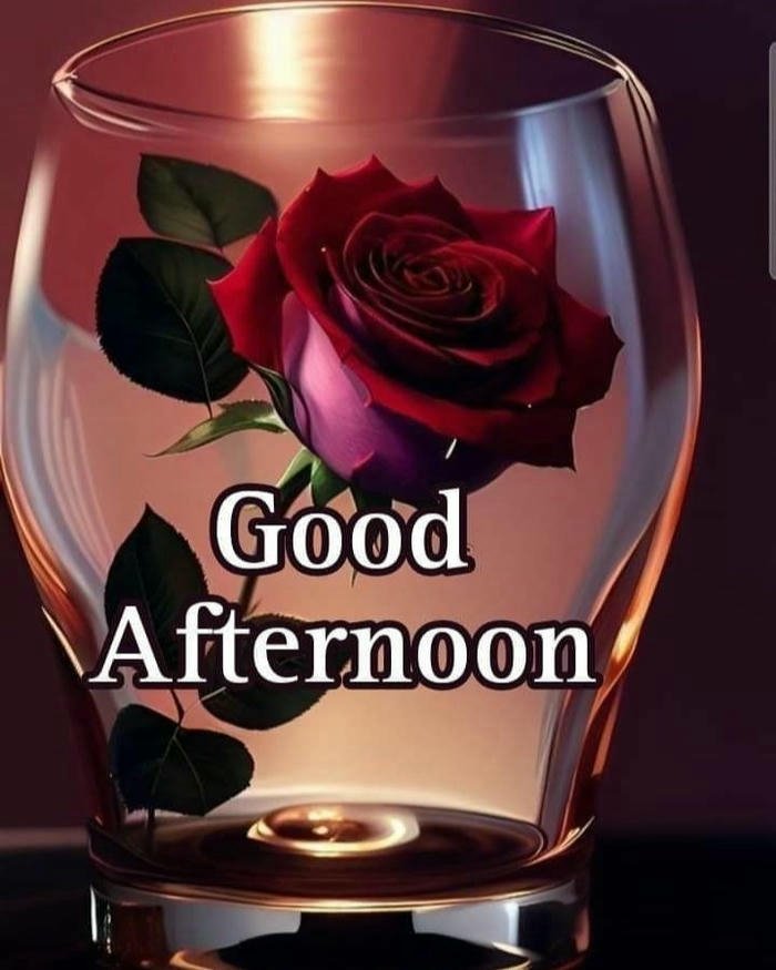 Good afternoon images love red rose inside glass reflection view