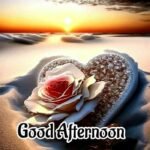 Good afternoon images love silver heart red rose beach sunset