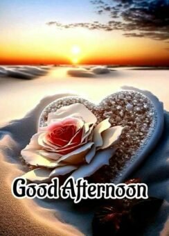 250+ Good afternoon images love cute playful and romantic - Featured post in Love