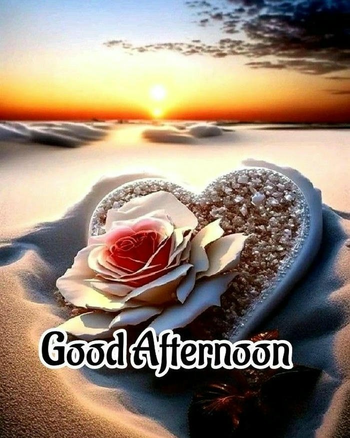 Good afternoon images love silver heart red rose beach sunset