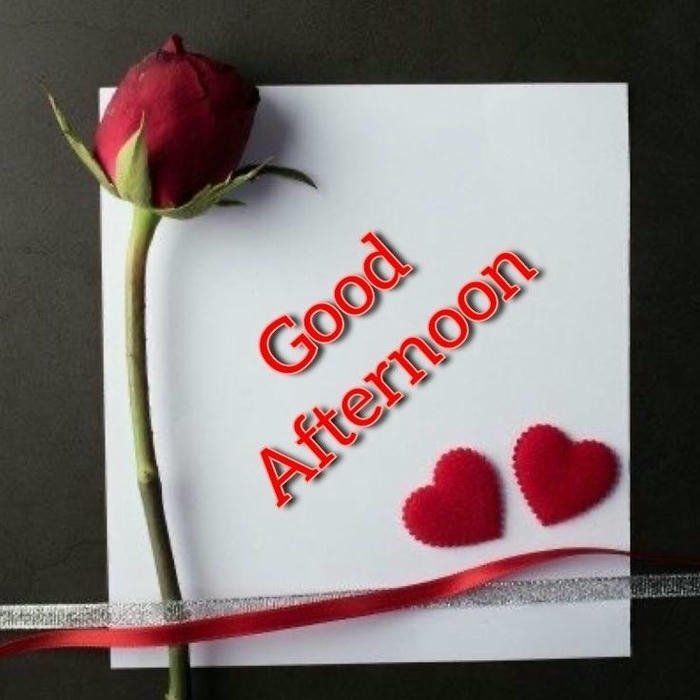 Good afternoon images love white card red rose petals view