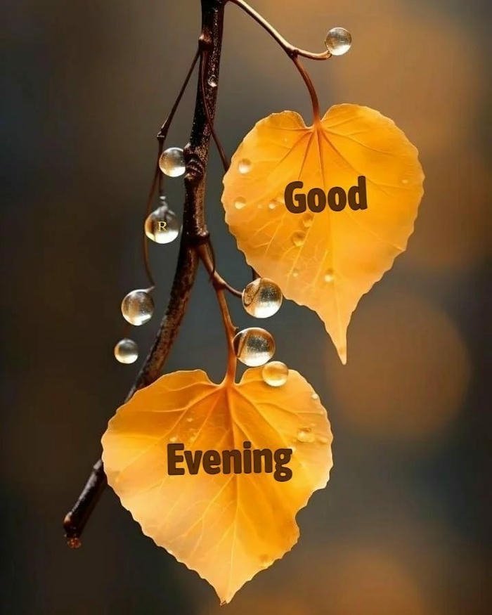 Good evening love image golden leaves hanging lights blurred background