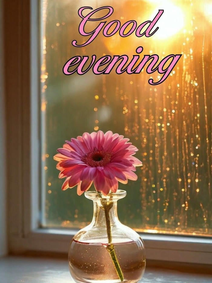 Good evening love image pink flower vase window rain drops