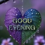 Good evening love image purple heart hanging rain drops view