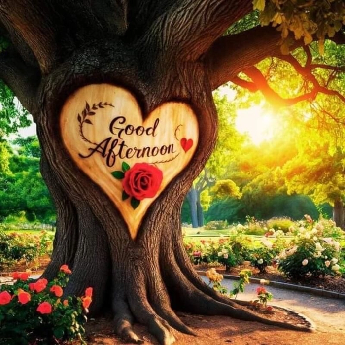 Heartwarming good afternoon images love for a lovely day
