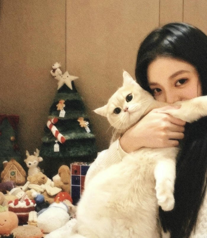 Lovely cute girl pic dp shining eyes