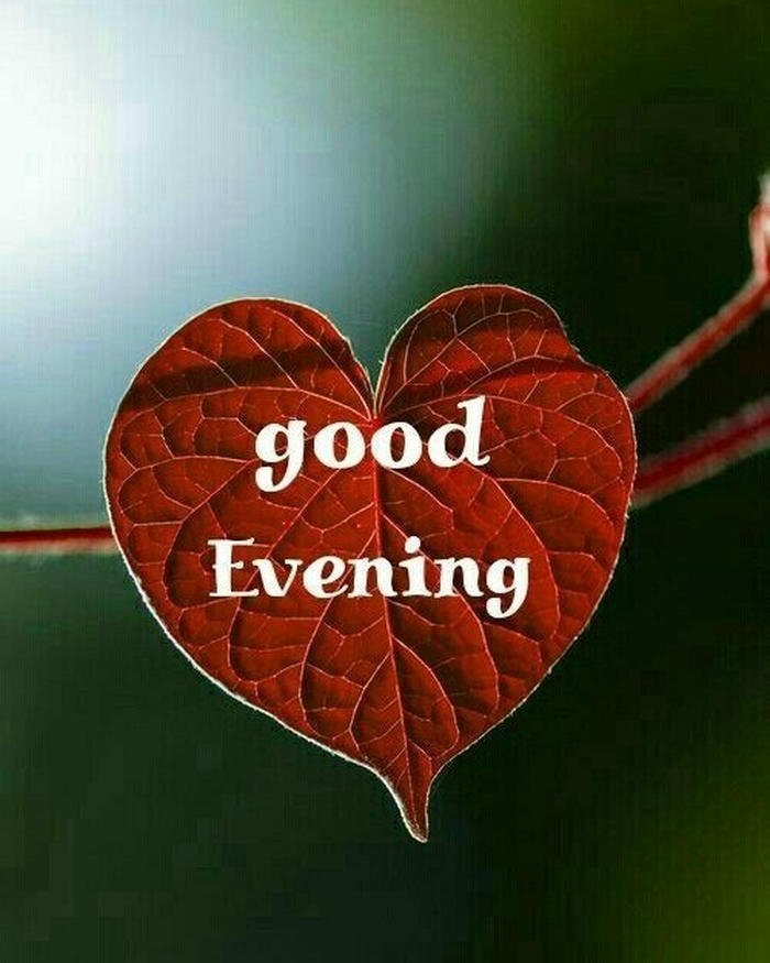 Red heart shaped leaf hanging nature blurred background view