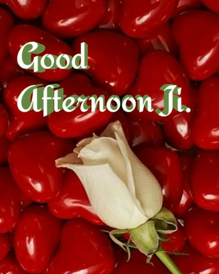 Red roses cherry background romantic afternoon greeting card view