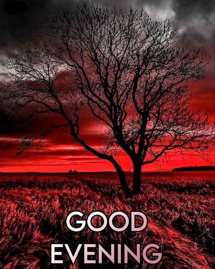 Red tree landscape dramatic sunset sky nature scenery view