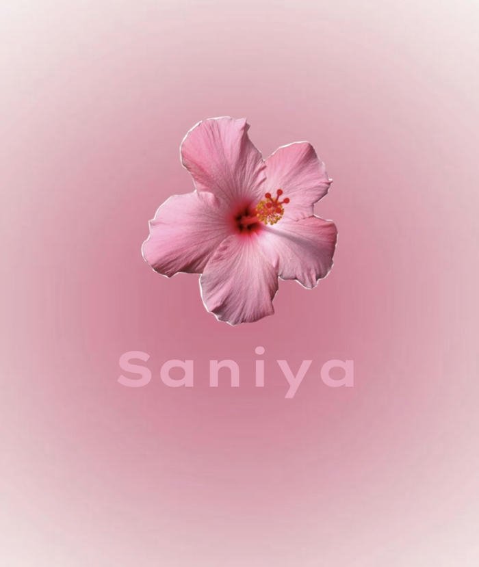 Stylish modern saniya name dp look
