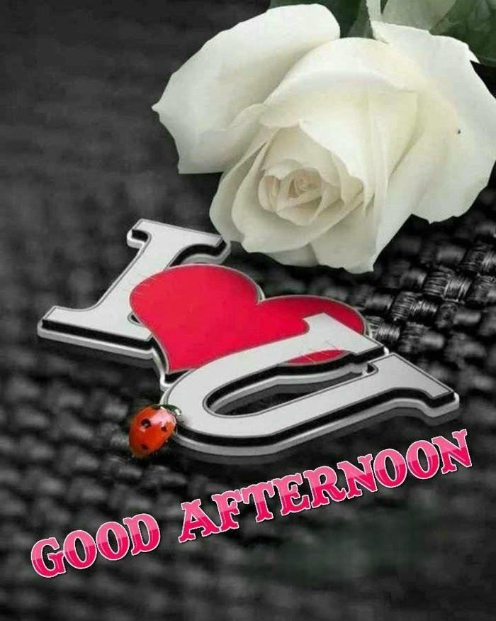 White rose red heart romantic love afternoon greeting card
