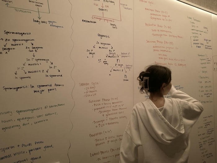 balanced look smart girl dp aesthetic