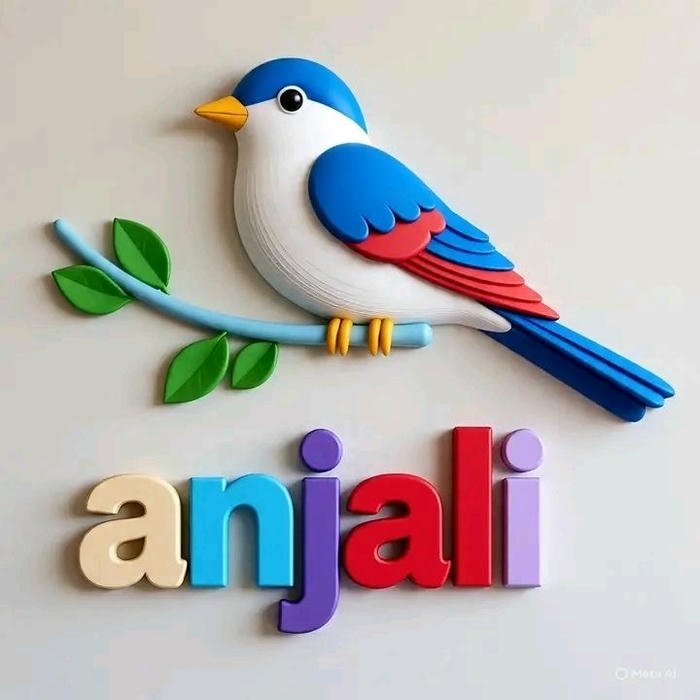 bird makes anjali name dp unforgettable