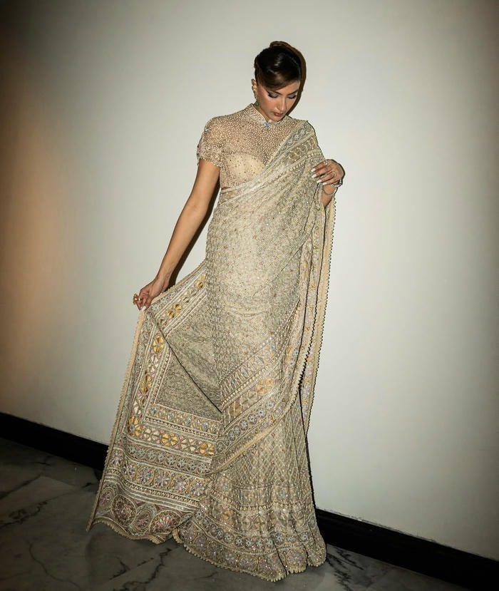 graceful motion captures saree girl dp