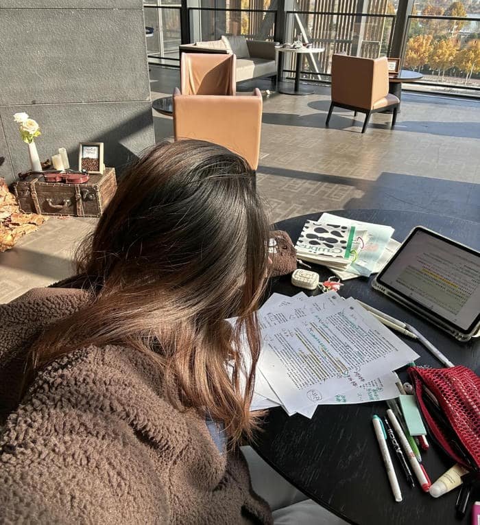 organized notes study girl dp style