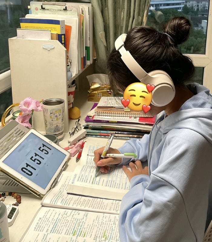 peaceful revision study girl dp mood