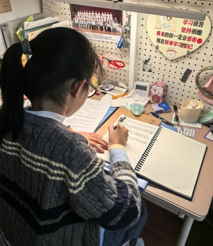 pen in hand study girl dp