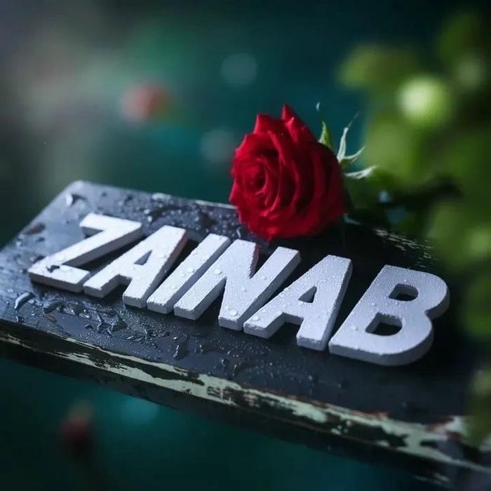 pic zainab name dp gentle girl energy