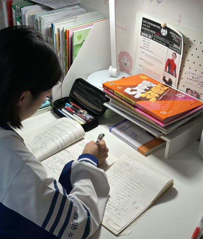 quiet corner study girl dp mood