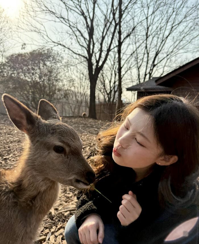 shy look profile picture girls super cute