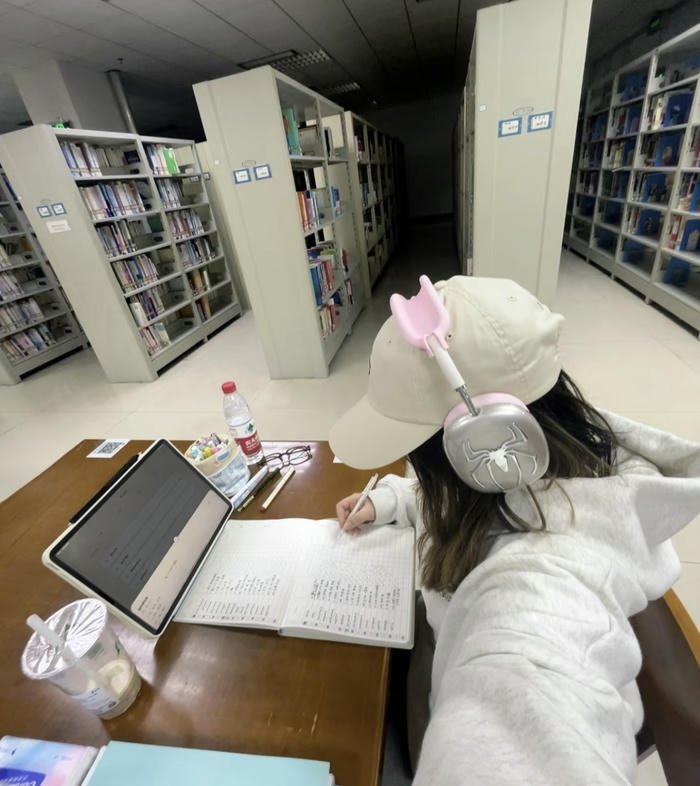 silent grind study girl dp mood