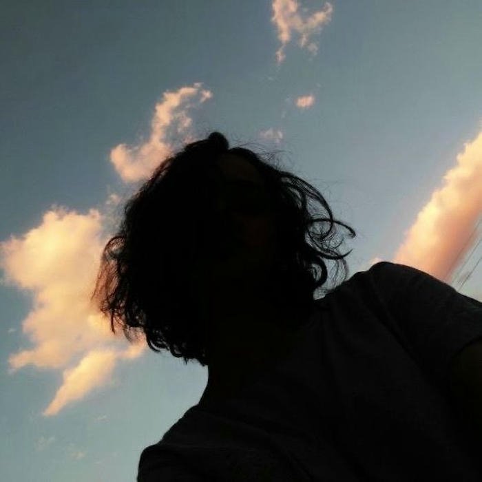 unknown soul shadow girl dp art