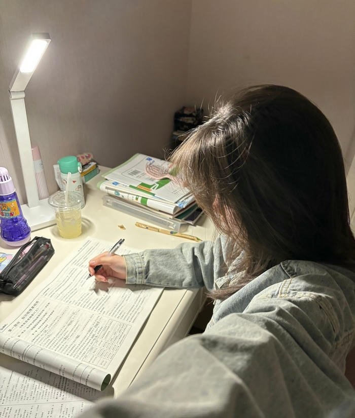 Exam notes dp for girl student