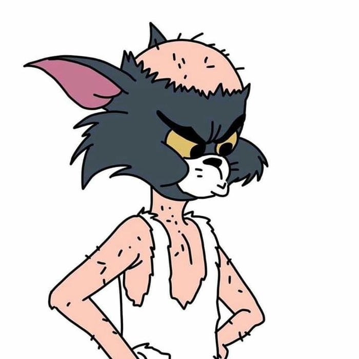 Funny dp for boys cartoon cat looking messy and tired