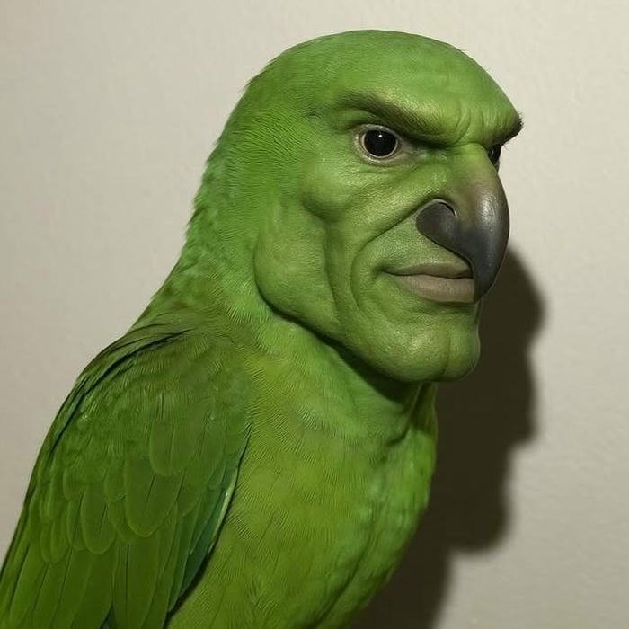 Funny dp for boys green parrot bird with human nose