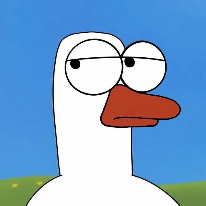 Funny dp for boys white duck looking suspicious sideways meme