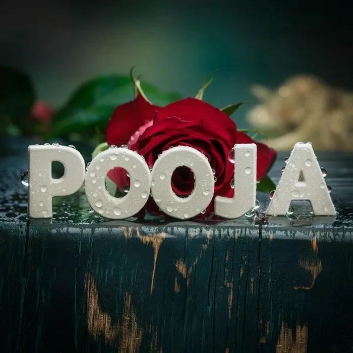 Graceful pooja name dp elegant rose touch