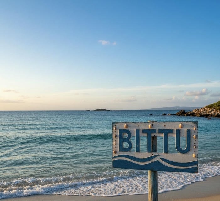 Magical fairy dream aesthetic bittu name dp