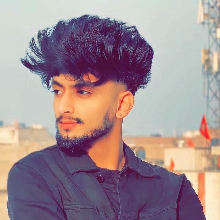 Punjabi boy dp side profile man looking at sunset view