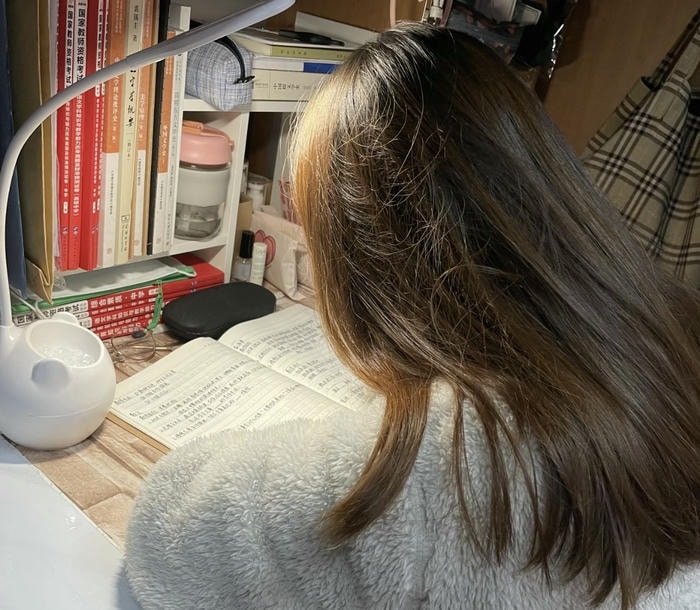 Scholarship exam dp for girl student