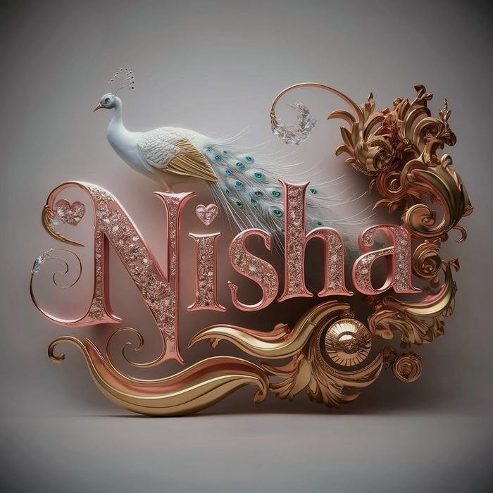 aesthetic balance captured through nisha name dp