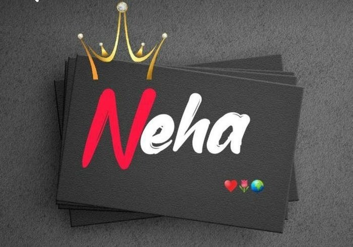 gentle charm wrapped in neha name dp