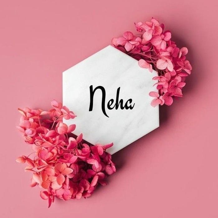 soft focus aesthetic for neha name dp