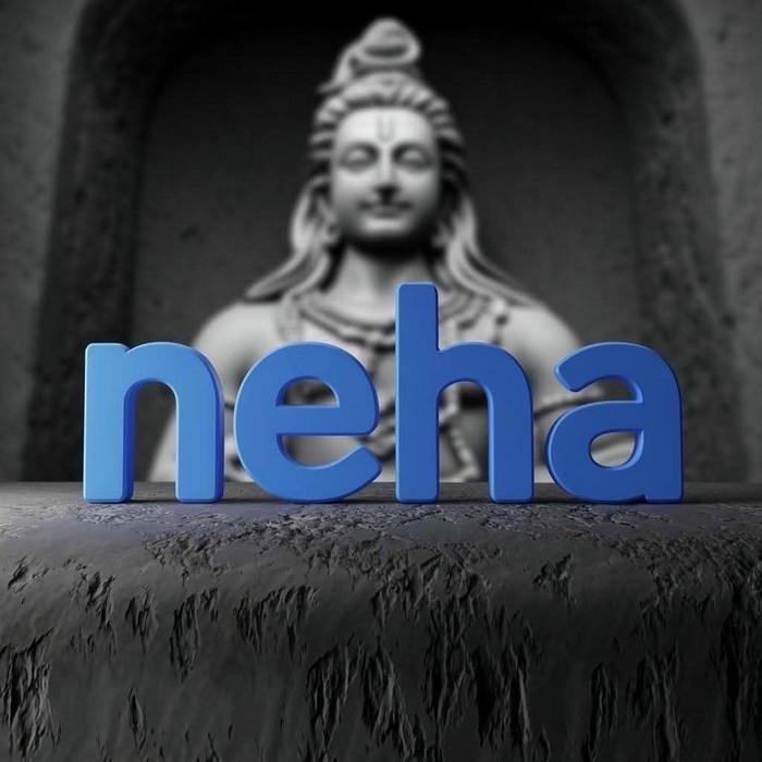 soft vision framed as neha name dp