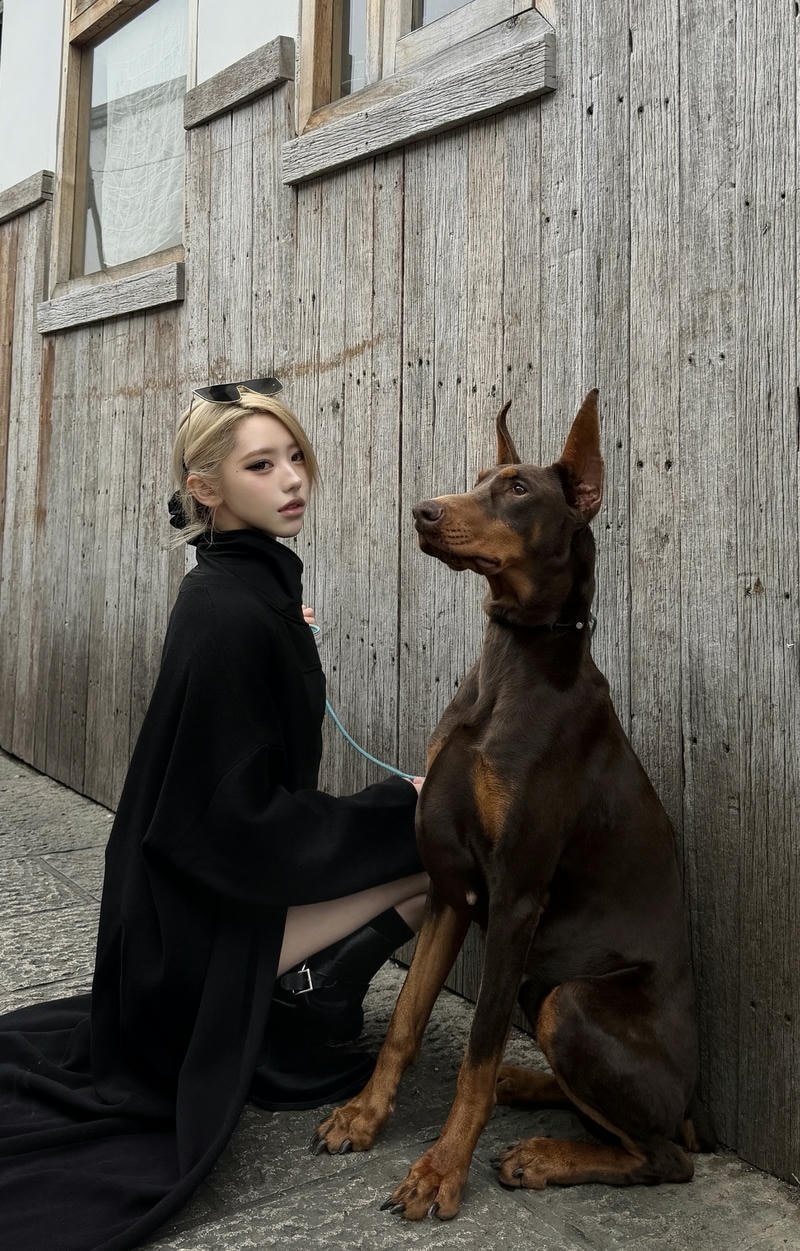 New dp for girls minimal background soft tone