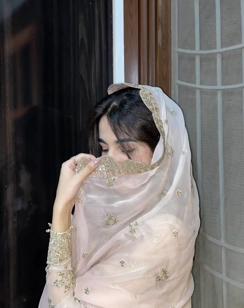 classic desi aesthetics captured in punjabi girl pic for dp