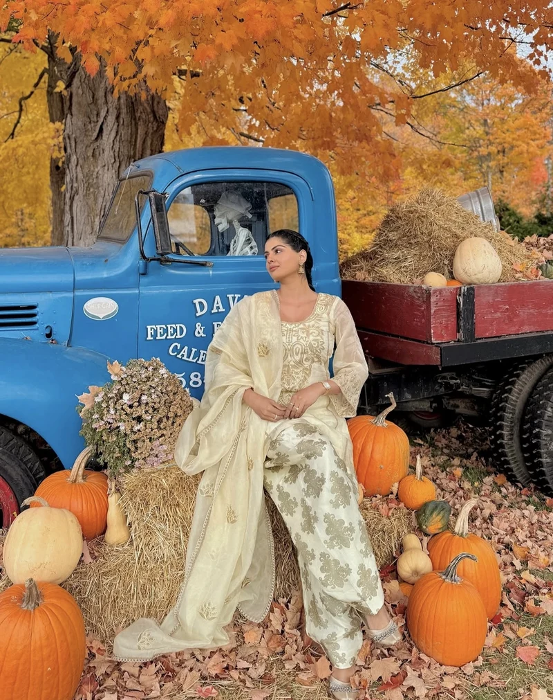 cultural pride reflected in punjabi girl pic for dp