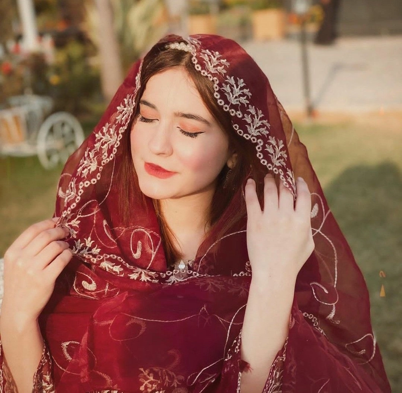 graceful profile inspirations from girls ki dp